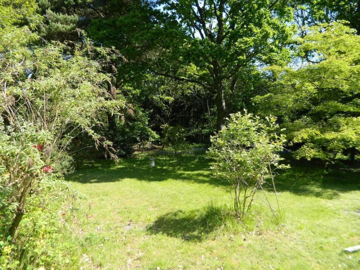 River Cottage A Country Retreat In Wooded Gardens East Stoke  Buitenkant foto