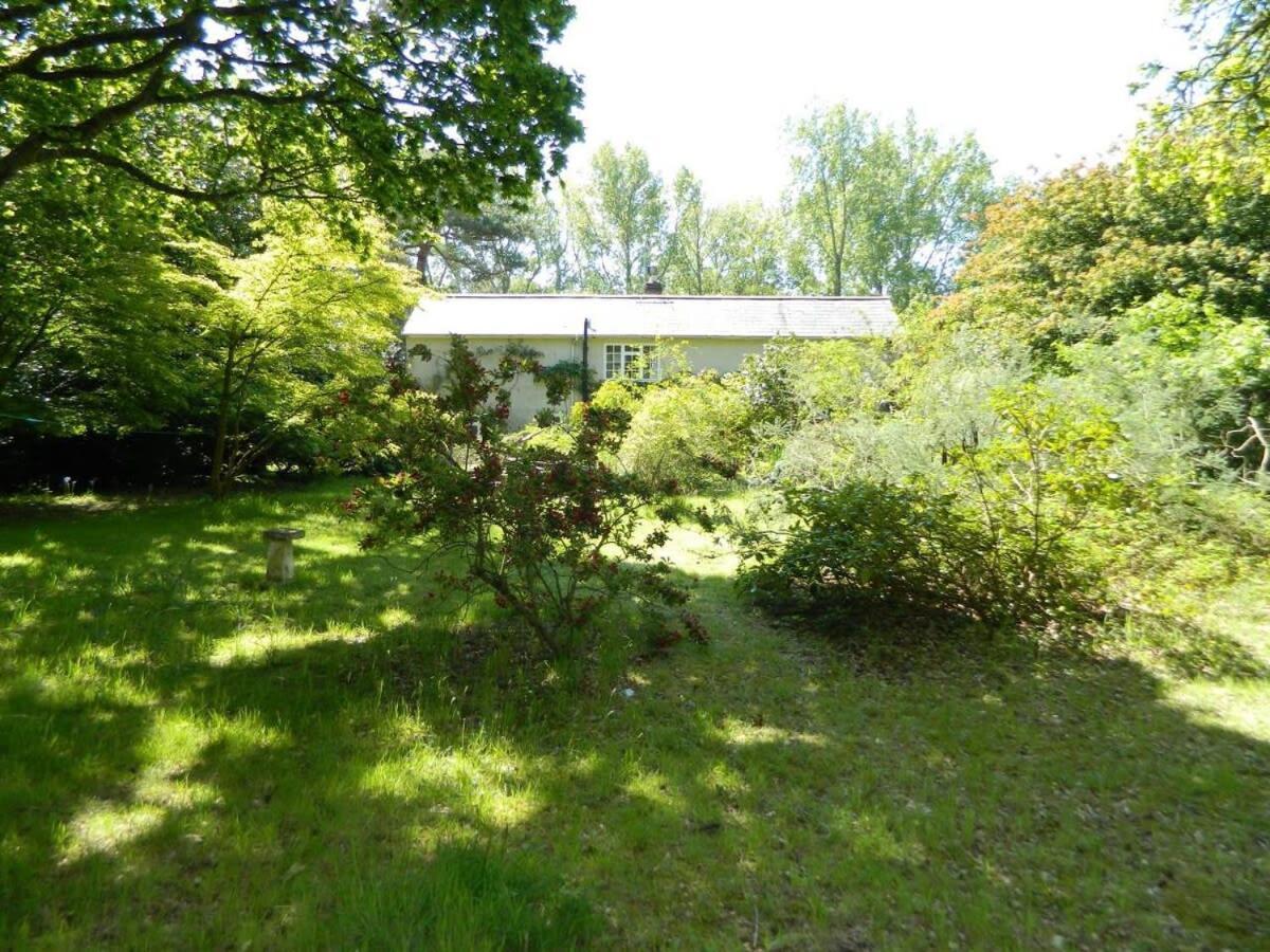 River Cottage A Country Retreat In Wooded Gardens East Stoke  Buitenkant foto