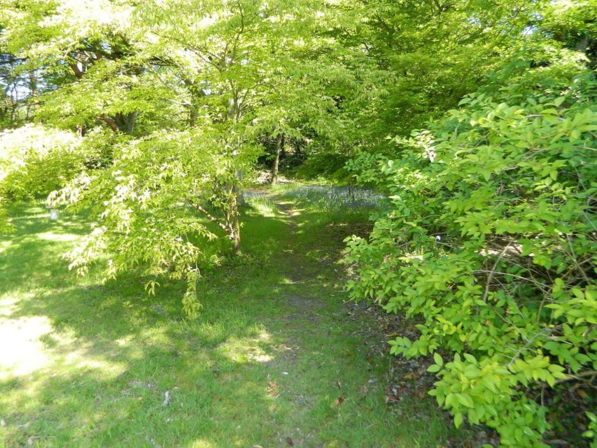 River Cottage A Country Retreat In Wooded Gardens East Stoke  Buitenkant foto