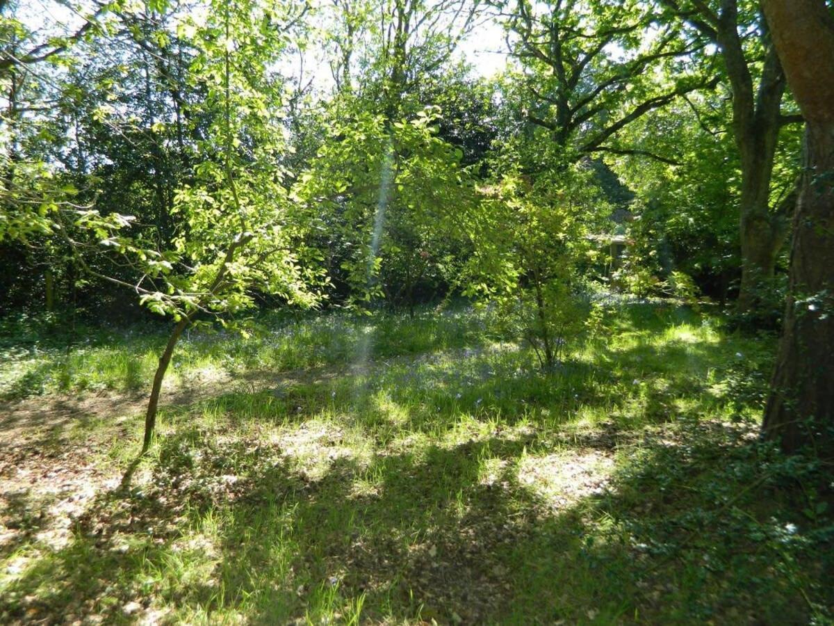 River Cottage A Country Retreat In Wooded Gardens East Stoke  Buitenkant foto